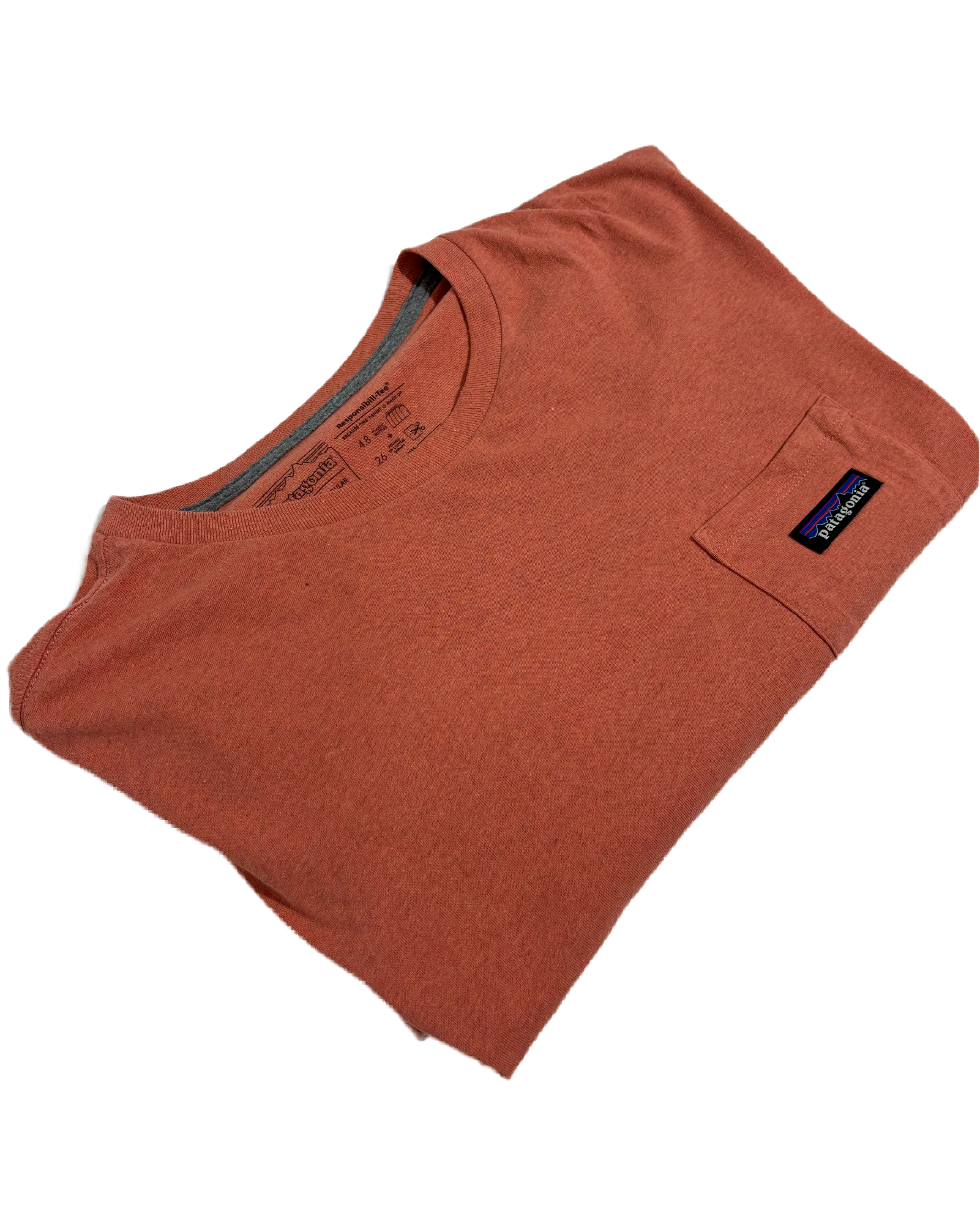 Patagonia Classic Peach Tee Majica Patagonia