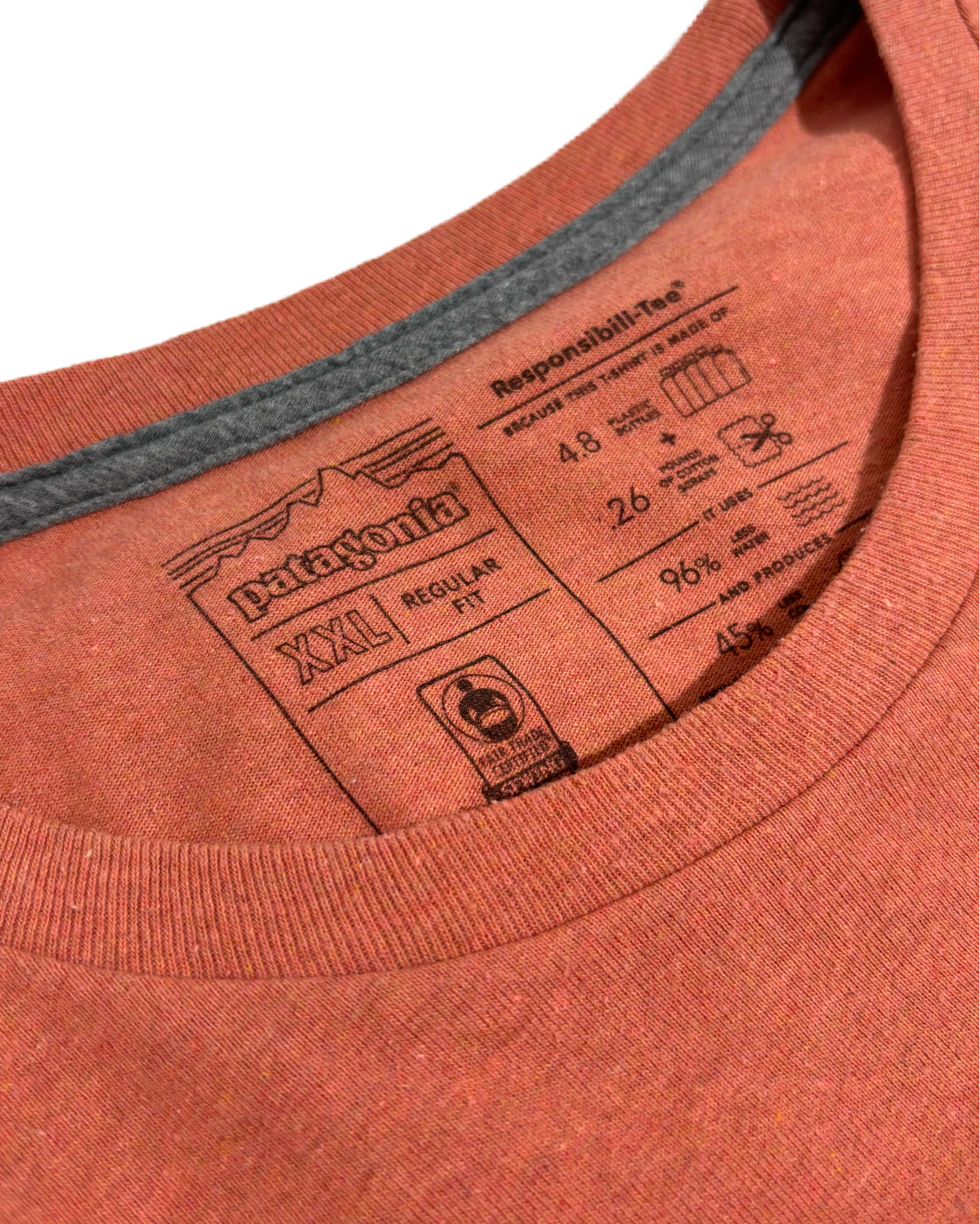 Patagonia Classic Peach Tee Majica Patagonia