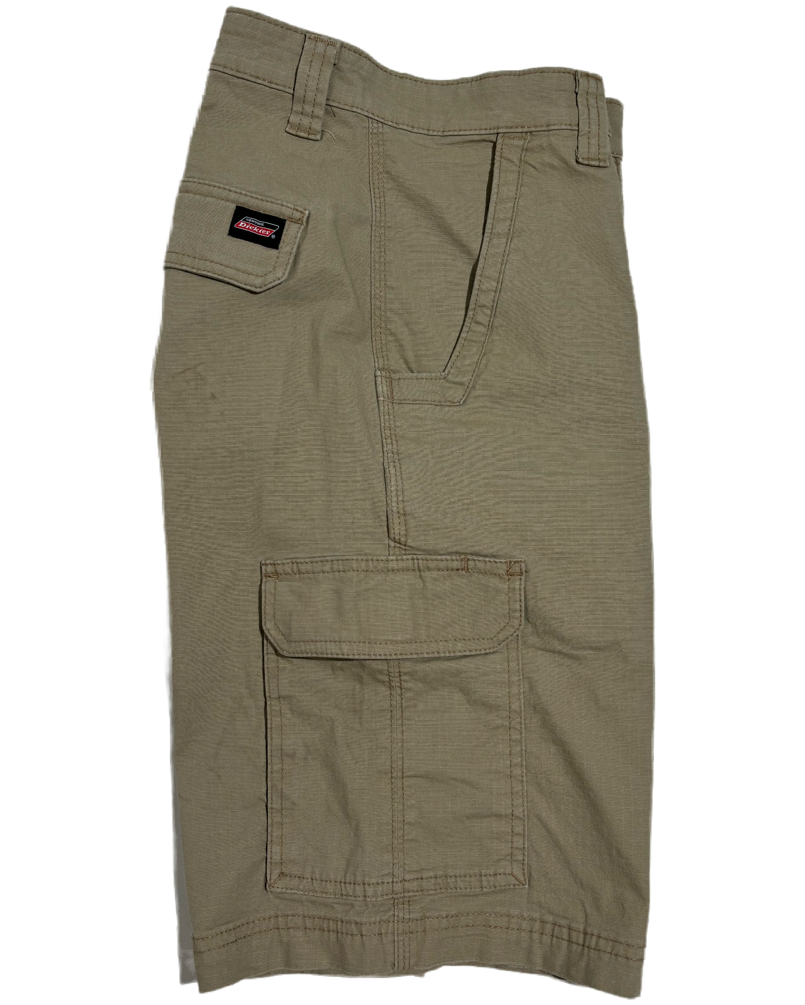 Dickies Safari Adventure Bermude